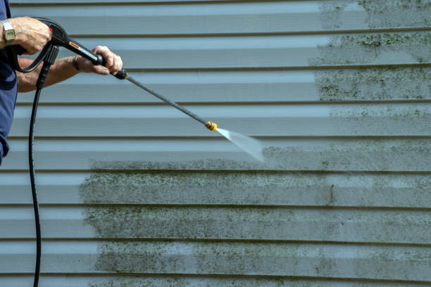 Best Window and Screen Pressure Cleaning in Williamsburg, KY